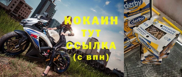винт Алзамай