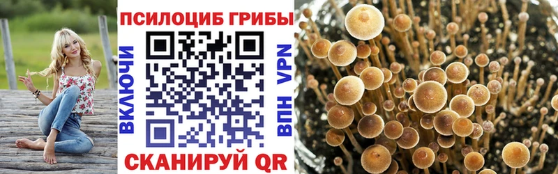 Псилоцибиновые грибы ЛСД  закладки  Солигалич 